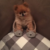 Entry image for Turkey