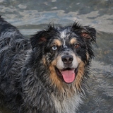 Entry image for Jack