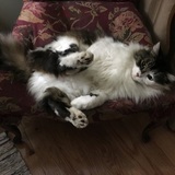 Entry image for Lucky