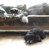 Entry image for Rebekka with Miki