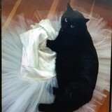 Entry image for Chihiro