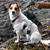 Entry image for Jayne Russell