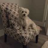 Entry image for Bailey