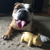 Entry image for Lola