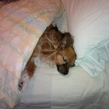 Entry image for Macy