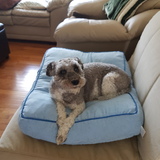 Entry image for Heidi