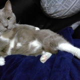 Entry image for Winston Warkentin