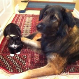 Entry image for Katniss & Maggie