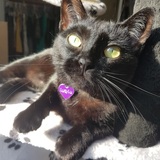 Entry image for LucyLu