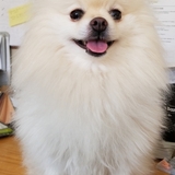 Entry image for Lulu