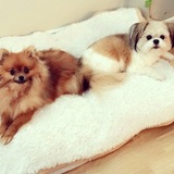 Entry image for Winnie and Dolly