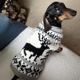 Entry image for Diego