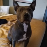 Entry image for Molly