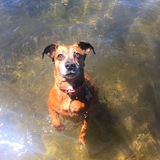 Entry image for Lucy