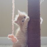 Entry image for Soleil