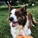 Entry image for Anna