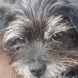 Entry image for Kobe