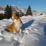 Entry image for Pippa