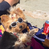 Entry image for Amy Lou