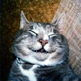 Entry image for BUICK