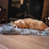 Entry image for Bentley 