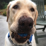 Entry image for Jimmy 