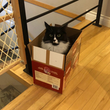 Entry image for Tucker