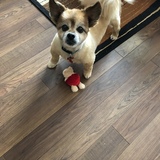 Entry image for Brandy Bradley