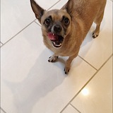 Entry image for Jake