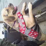 Entry image for Bailey