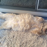 Entry image for Morgan Cassidy