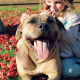 Entry image for Peter