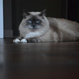 Entry image for Larry