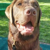 Entry image for Tucker