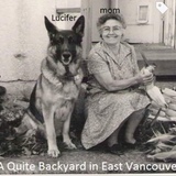 Entry image for Lucifer