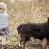 Entry image for Diego