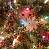 Entry image for Matilda