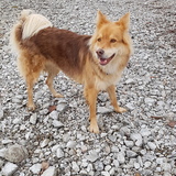 Entry image for Fisher