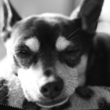 Entry image for Tiny Bubbles