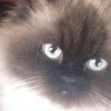 Entry image for Tuna