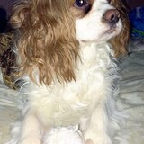 Entry image for Eddie