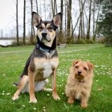 Entry image for Stella and Riley