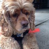 Entry image for Marley 