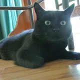 Entry image for Russell