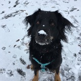 Entry image for Bella 