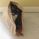 Entry image for Olive