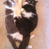 Entry image for Angell & Chloe's love heart