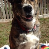 Entry image for Wilma