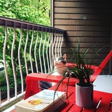 Entry image for Tequila