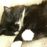 Entry image for Jimmy 